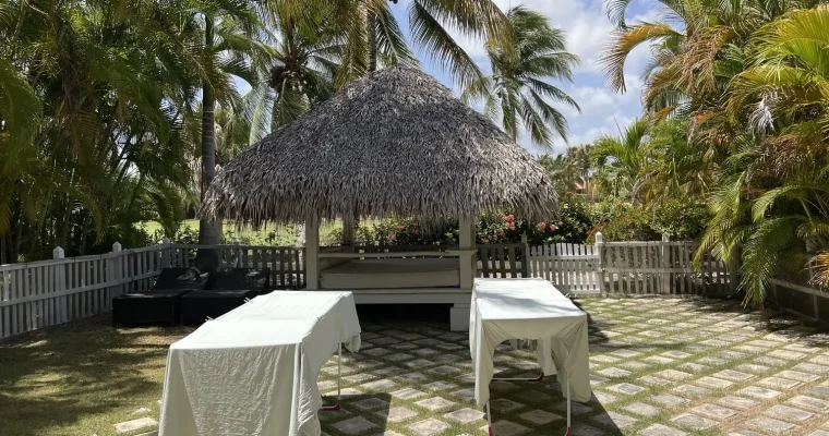 Dos tendederos con sábanas blancas en un jardín tropical rodeado de palmeras.