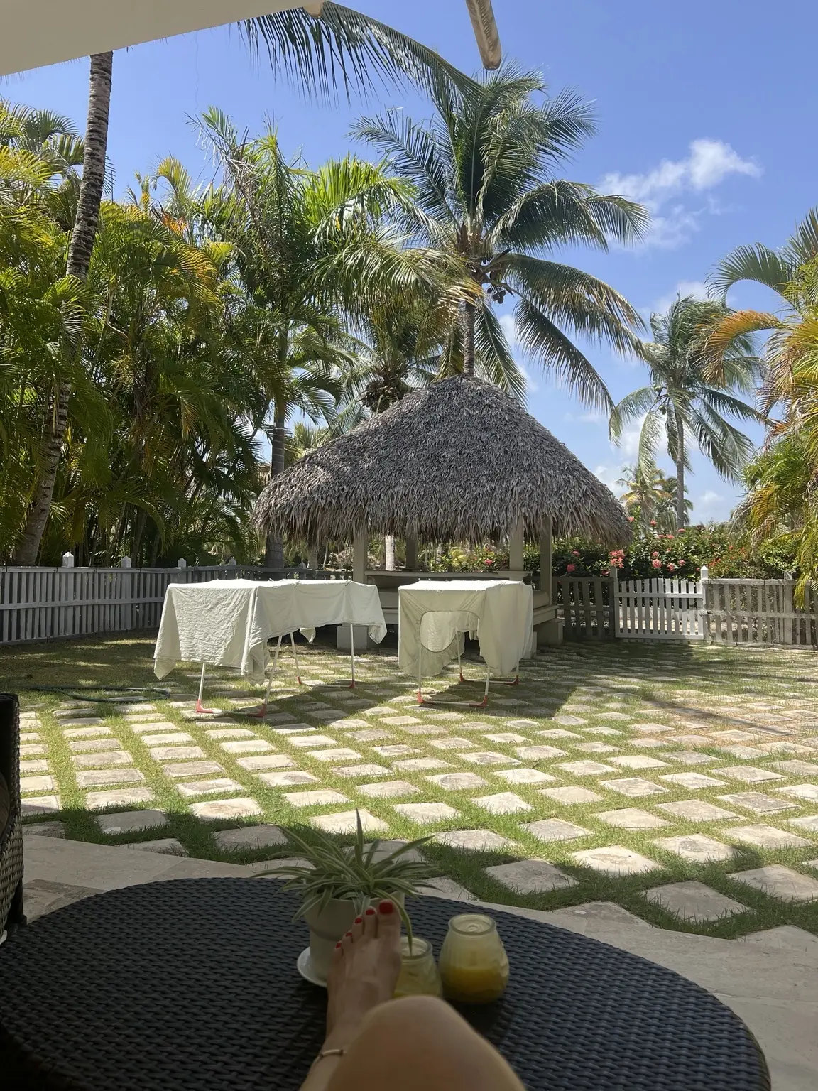 Dos tendederos con sábanas blancas en un jardín tropical rodeado de palmeras.